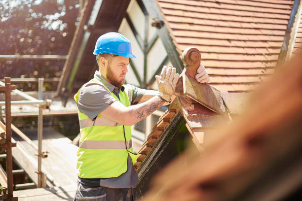 Best Roof Gutter Cleaning  in Bratenahl, OH